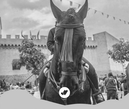 Feria del Caballo Benito Aguerri en Marcilla