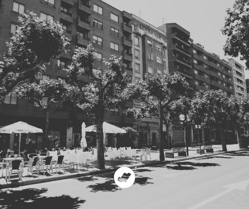 Paseo guiado a través de Avenida de la Paz con Amigos de La Rioja