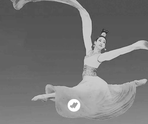Shen Yun danza clásica china y orquesta en Riojaforum logroño la listilla